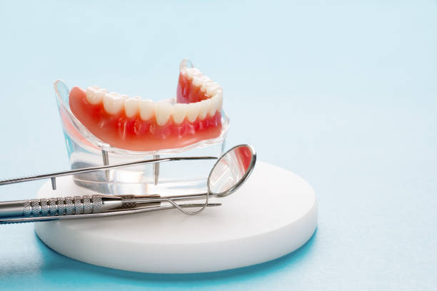 Reliable Collingdale, PA Holistic Dental Care Services Solutions